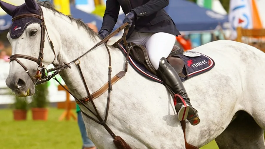 Reiter auf einem Pferd bei Tageslicht auf einem Reitplatz
